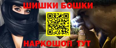 шишки Лесной