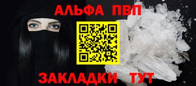 шишки Лесной