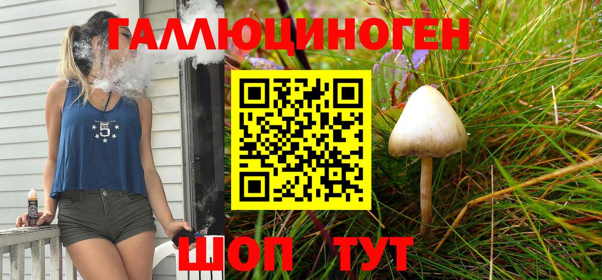где найти   Галлюциногенные грибы Cubensis  Вход с VPN  Белая Калитва 